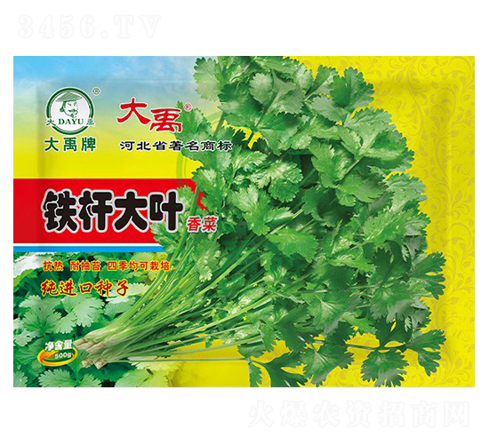 鐵桿大葉香菜種子-大禹種業