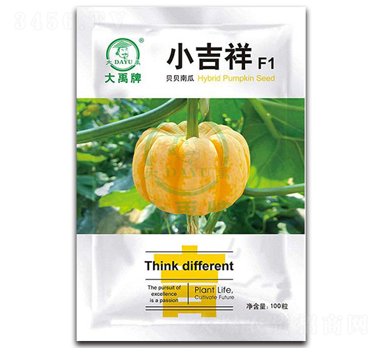 小吉祥貝貝南瓜種子-大禹種業