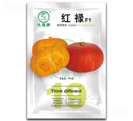 紅祿西洋南瓜種子-大禹種業