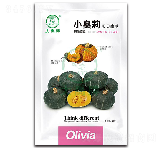 小奧莉貝貝南瓜種子-大禹種業