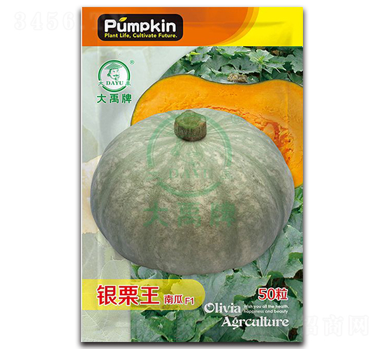 銀栗王南瓜種子-大禹種業