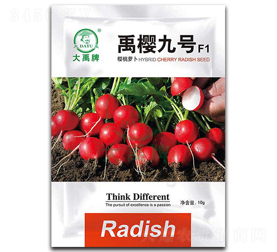 禹櫻九號櫻桃蘿卜種子-大禹種業