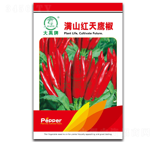 漫山紅天鷹椒-辣椒種子-大禹種業