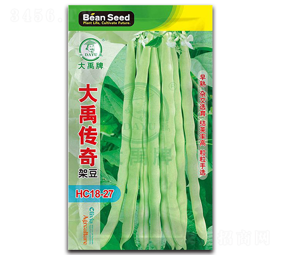 大禹傳奇-架豆種子-大禹種業