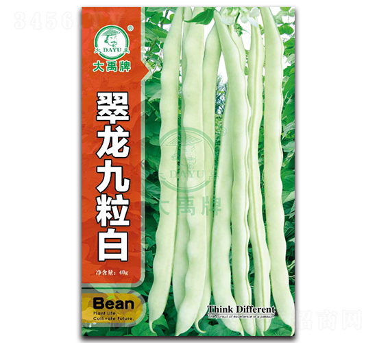 翠龍九粒白-豇豆種子-大禹種業