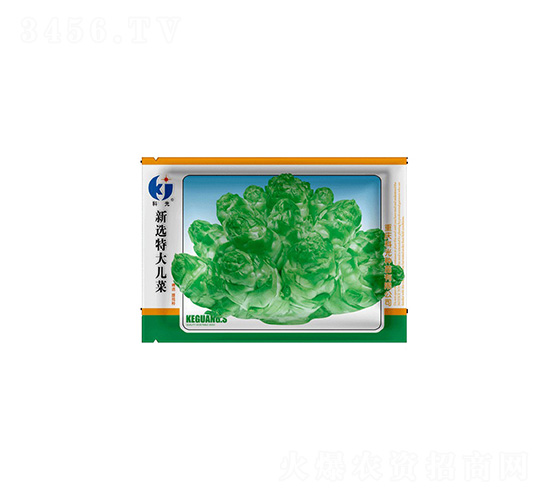 新選特大兒菜-科光種苗