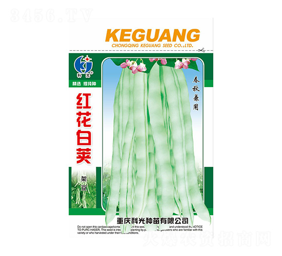 紅花白莢架豆-科光種苗