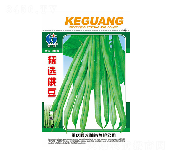 精選供豆-科光種苗