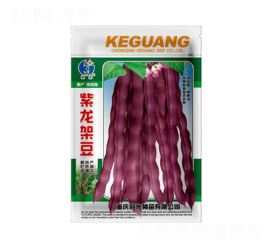 紫龍架豆-科光種苗
