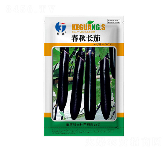 春秋長茄-科光種苗
