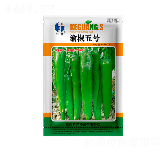 彷5̖-ƹN