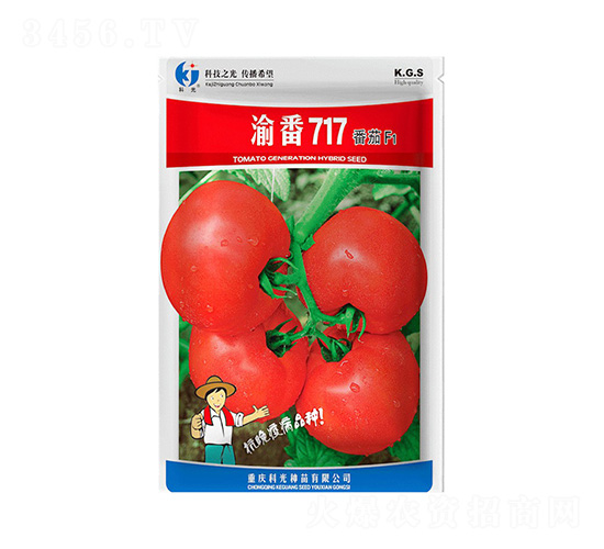 巬717-ƹN