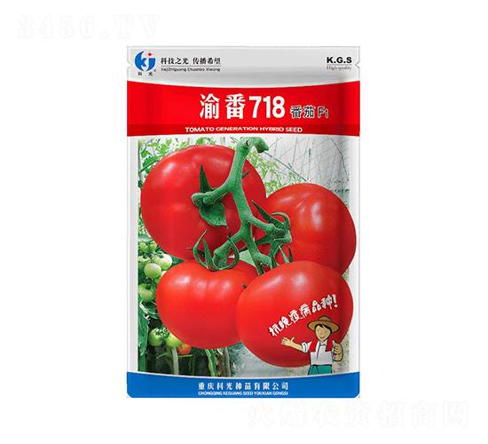 渝番718-科光種苗