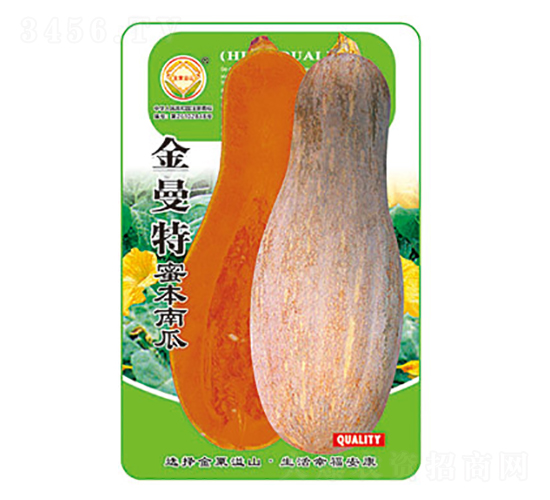 南瓜種子-金曼特-太樂(lè)種業(yè)
