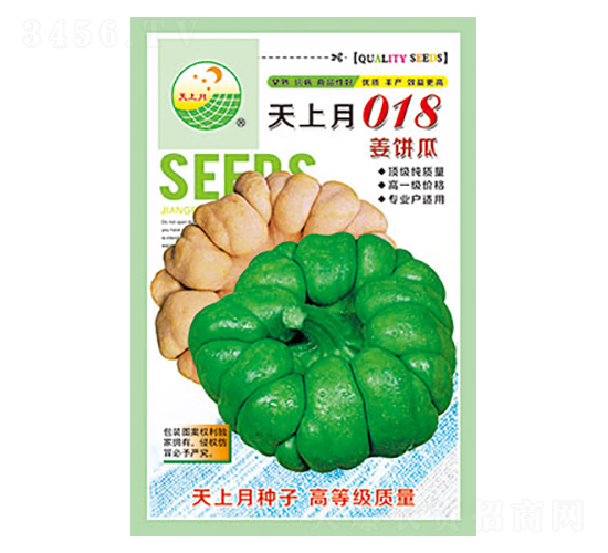 姜柄瓜種子-天上月018-太樂種業