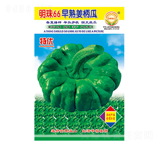 姜柄瓜種子-明珠66-太樂種業
