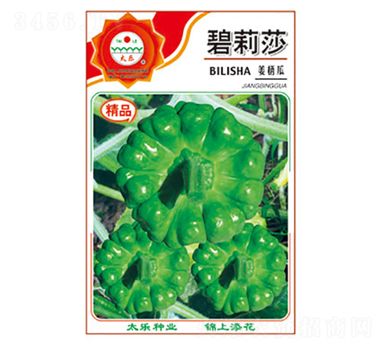 姜柄瓜種子-碧莉莎-太樂種業