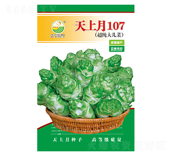 兒菜種子-天上月107-太樂種業