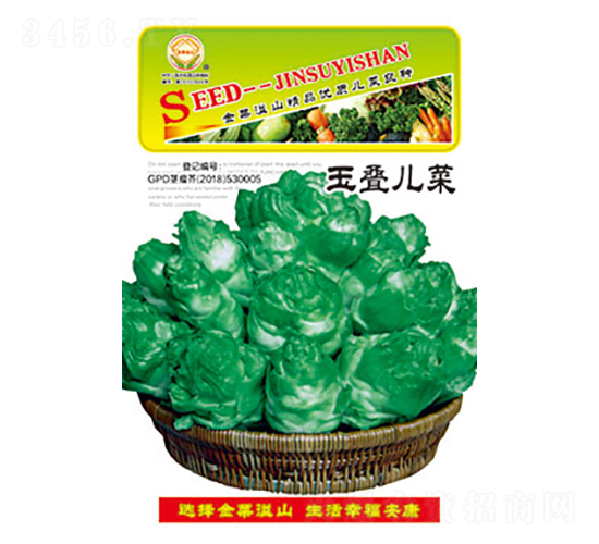 兒菜種子-玉疊兒菜-太樂種業