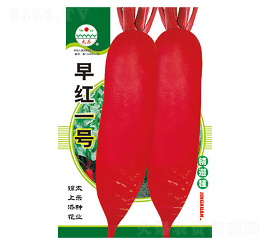 蘿卜種子-早紅一號(hào)-太樂(lè)種業(yè)