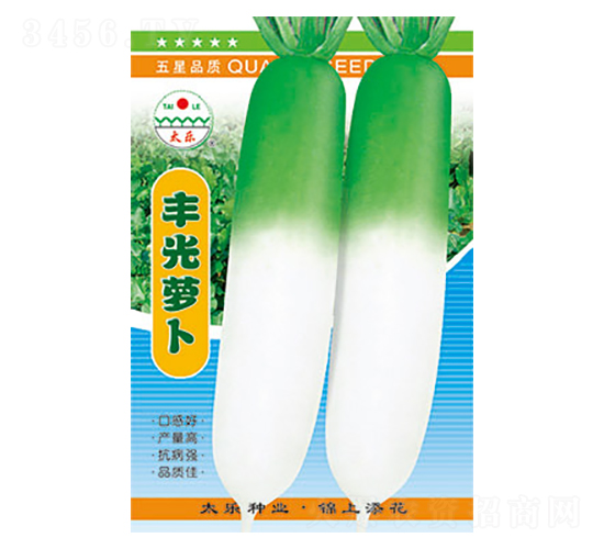 蘿卜種子-豐光蘿卜-太樂種業