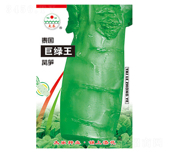 萵筍種子-泰國巨綠王-太樂種業
