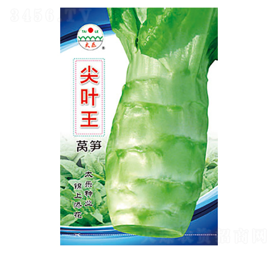 萵筍種子-尖葉王-太樂種業