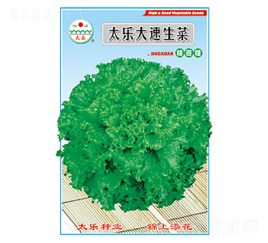 生菜種子-太樂大速生菜-太樂種業