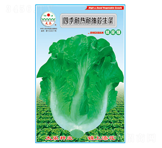 生菜種子-四季耐熱耐抽苔生菜-太樂種業
