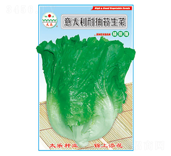 生菜種子-意大利耐抽苔生菜-太樂種業