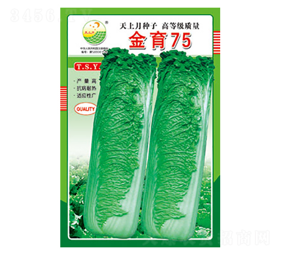 白菜種子-金育75-太樂種業