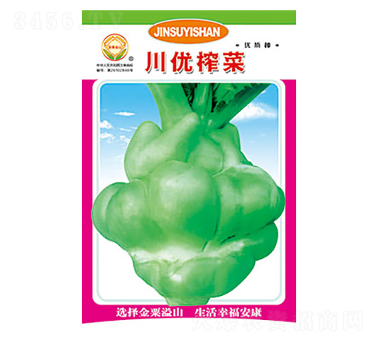 榨菜種子-川優榨菜-太樂種業