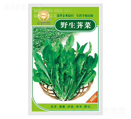 è–ºèœç¨®å­-é‡Žç”Ÿè–ºèœ-å¤ªæ¨‚ç¨®æ¥­