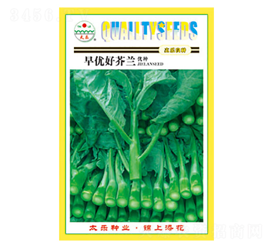 mN-烞ým-̫NI