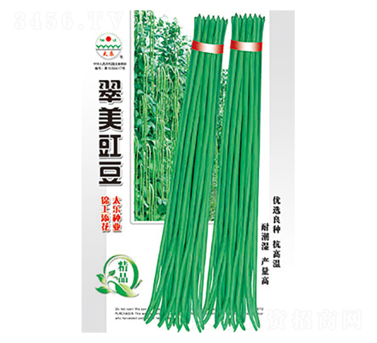 豇豆種子-翠美豇豆-太樂種業