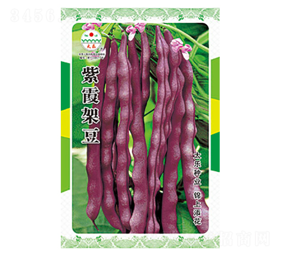 豇豆種子-紫霞架豆-太樂種業