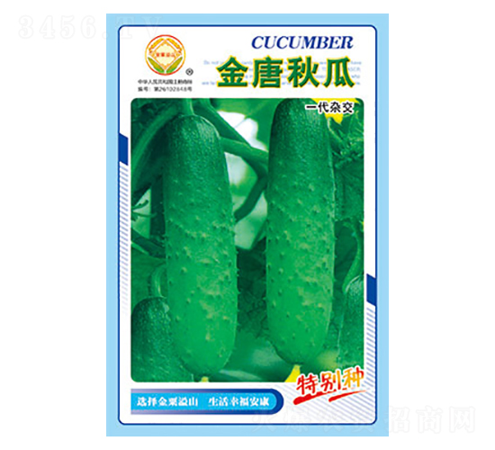黃瓜種子-金唐秋瓜-太樂種業