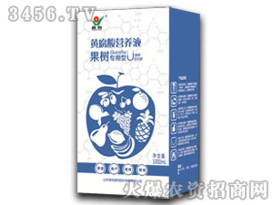 䌣SI(yng)B(yng)Һ-