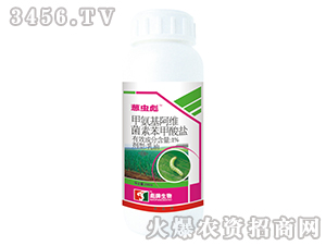 蔥蟲彪-專業防治蔥管蟲（甜菜夜蛾）蔥薊馬、地蛆