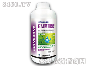 EMԭҺ-ͺ΢-