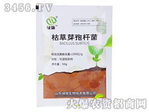 æž¯è‰èŠ½å­¢æ¡¿èŒï¼ˆè‘‰é¢åž‹ï¼‰-ç¶ éš´