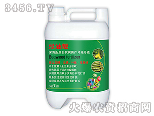 深海魚蛋白抗病高產沖施母液-綠油靚-山旺生物
