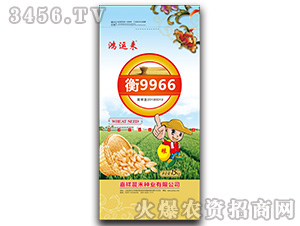 9966СN-\-̷NI