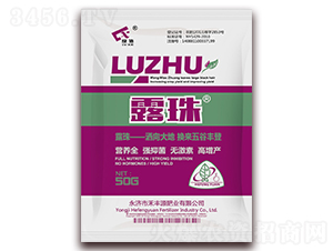 50g露珠-禾豐源