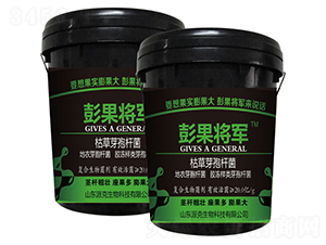 枯草芽孢桿菌-彭果將軍-加米農