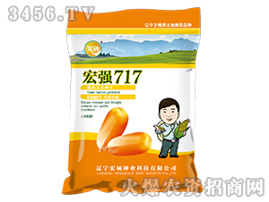 ꏊ717-sN-TNI