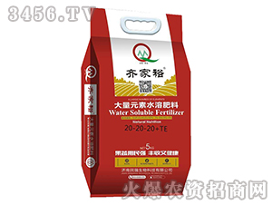 大量元素水溶肥料20-20-20+TE-齊家裕-民強(qiáng)生物