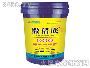 多功能返青分蘗矮化一體肥-撒稻底-農大化工
