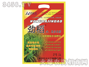 含腐植酸水溶肥料-勁稻-農大化工