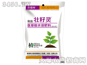 氨基酸水溶肥料-極品壯籽靈-東星農業
